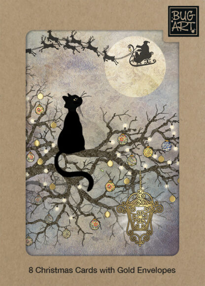 DCX016 Moon Cat 8xPack greeting card bug art
